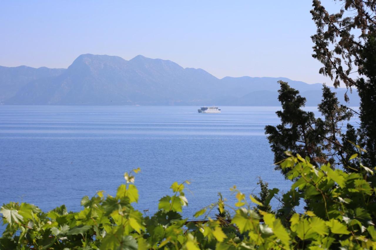 Apartments And Rooms By The Sea Trpanj, Peljesac - 258 Buitenkant foto